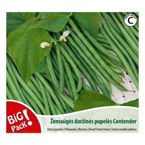 Sėklos PUPELĖS ŽEMAŪGĖS DARŽINĖS/CONTENDER 20G