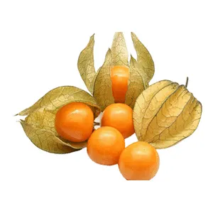 Dumplūnės, 100 g