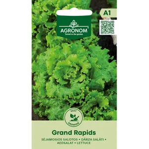 Sėklos AGRN SALOTOS SĖJAMOSIOS GRAND RAPIDS