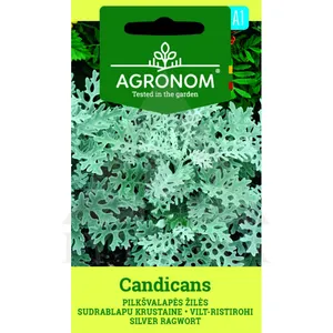 Sėklos AGRN PILKŠVALAPĖS ŽILĖS CANDICANS