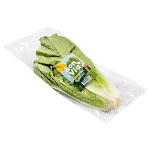 BON VIA salotos ROMAINE