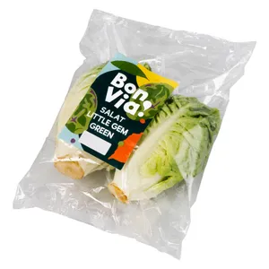 Salotos BON VIA LITTLE GEM, 2 vnt.