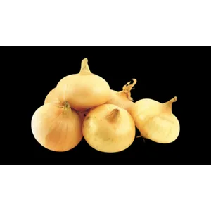 Saldieji svogūnai BON VIA
