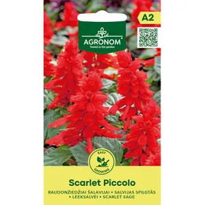 Sėklos AGRONOM RAUDONŽIEDŽIAI ŠALAVIJAI SCARLET/PICCOLO