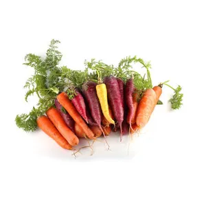 Įvairiaspalvės morkos sveriamos