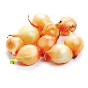 Svogūnų sodinukai (sveriami)