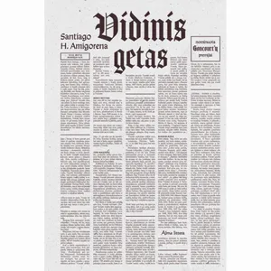 Knyga VIDINIS GETAS