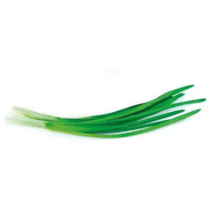 Svogūnų laiškai, 100 g