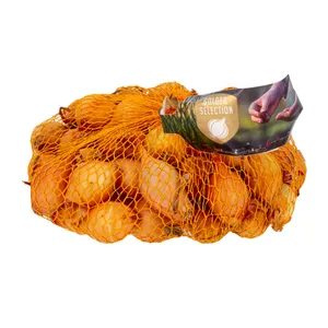 Geltonų svogūnų sodinukai, 500 g