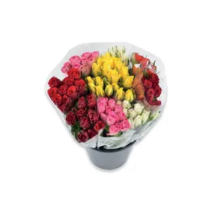 Skintos gėlės ROŽĖS STAMBIAŽIEDĖS 7 vnt