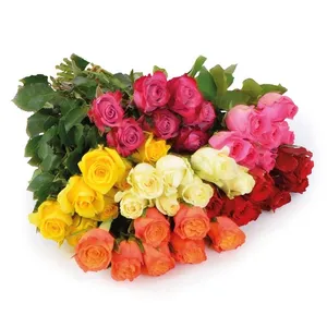 Skintos rožės 40 CM, 7 VNT