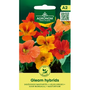 Sėklos nasturtės didžiosios gleam hybrids mišinys AGRN  
