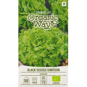 Sėklos OW SALOTOS SĖJAMOSIOS BLACK SEEDED/SIMPSON