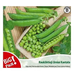 Sėklos BIG PACK ŽIRNIAI RAUKŠLĖTIEJI KANTATA