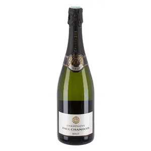 Šampanas PAUL CHAMBOIS CHAMPAGNE BRUT WHITE (12%), 750 ml