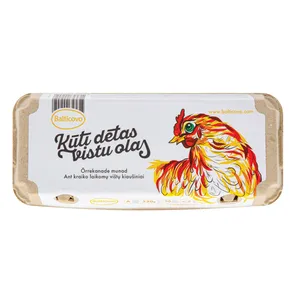 Balti kiaušiniai ant kraiko laikomų vištų, skirtingų dyžių, NR2, 10 vnt