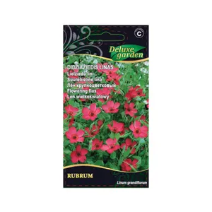Sėklos DELUX GARDEN DIDŽIAŽIEDIS LINAS RUBRUM/0,5G 8984