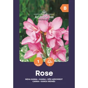 Gėlių svogūnėliaiKANOS INDINĖS ROSE, 1 vnt.