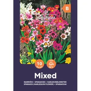 Gėlių svogūnėliai SPARAKSIAI MIX, 1 vnt.