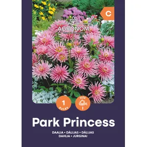 Gėlių svogūnėliai JURGINAI DEKORATYVINIAI ŽEMAŪGIAI PARK/PRINCESS, 1 vnt.