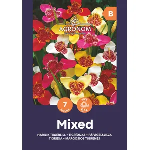 Gėlių svogūnėliai TIGRENĖS MARGOSIOS MIX, 1 vnt.