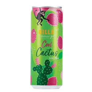 Šalta arbata BILLA ICE TEA COOL CACTUS, 0,33 g