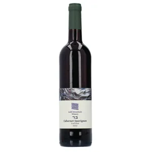 Raudonasis sausas vynas SKVN GALIL MOUNTAIN CABERNET SAUVIGNON (14%), 0,75 l