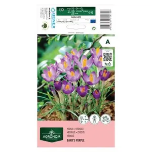 AGRONOM KROKAI BARR'S PURPLE 170175