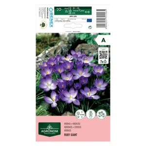 AGRONOM KROKAI RUBY GIANT 170156