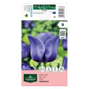AGRONOM TULPĖS TRIUMPH BLUE 170168