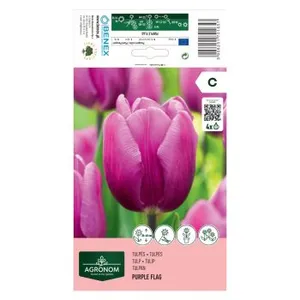 AGRONOM TULPĖS PURPLE FLAG 170165