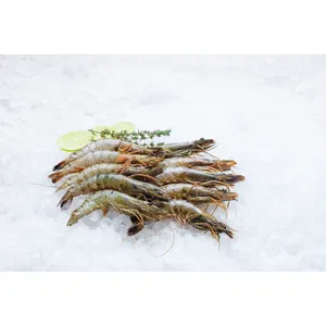 Atitirpintos didžiosios tigrinės krevetės, nevirtos su galva, su kiautu (Penaeus monodon), 1 kg