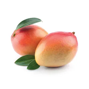 Sunokę mangai BON VIA PREMIUM