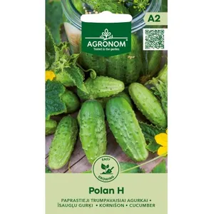 Sėklos agurkai paprastieji trumpavaisiai polan h AGRN  