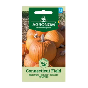 Sėklos moliūgai connecticut field AGRN  