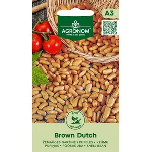 Sėklos pupelės darž. aiž. brown dutch AGRN  