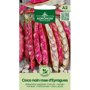 Sėklos pupelės daržinės aiž. coco nain rose d'eyragues AGRN  