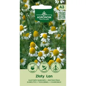 Sėklos ramunės vaistinės zloty lan AGRN  