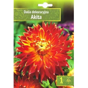 Sėklos jurginai dekoratyviniai akita AGRN  
