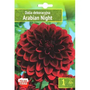 Sėklos jurginai dekoratyviniai arabian night AGRN  
