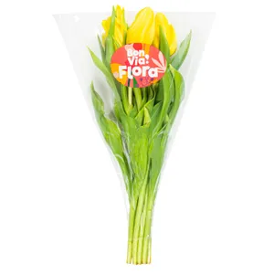 Skintos tulpės BON VIA FLORA, 35 cm, 7 vnt