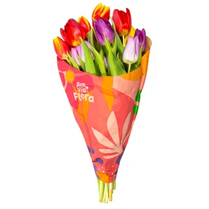 Skintos tulpės BON VIA FLORA, įvairiaspalvės, 35 cm, 11 vnt