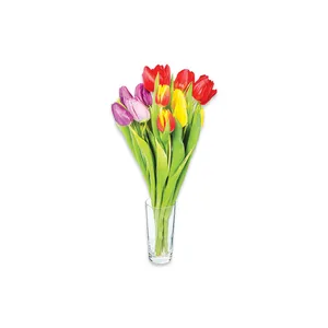 Skintos tulpės įvairiaspalvės BON VIA FLORA, 35 cm, 25 vnt.