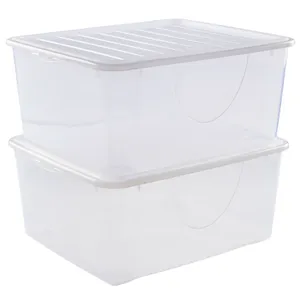 Skaidrių daiktadėžių rinkinys 2 VNT 18L