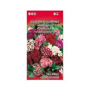 Sėklos GVAZDIKAS ŠIURPINIS MIŠINYS 0.5G 1206