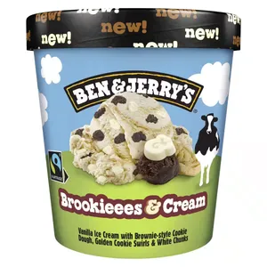 Valgomieji vaniliniai ledai su grietinėle B&J BROOKIES, 465 ml / 388 g