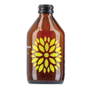 Gaivusis arbatos gėrimas VIGO Kombucha BIO su ciberžole ir imbieru 0,33L but