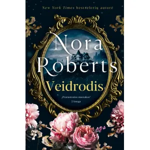 Knyga VEIDRODIS