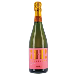 Putojantis vynas !H! BARCELONA ROSÉ (11,5%), 750 ml