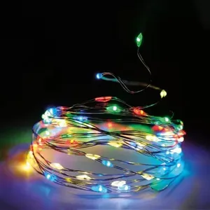 LED girlianda 40 spalvota